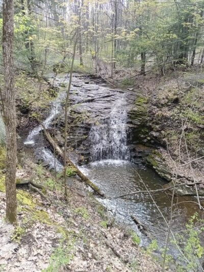 The Owens Falls Sanctuary - East Aurora, NY