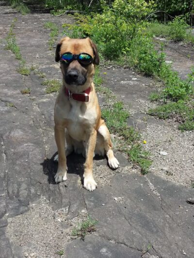 Thacher Park Rock Formation - East Berne, NY
