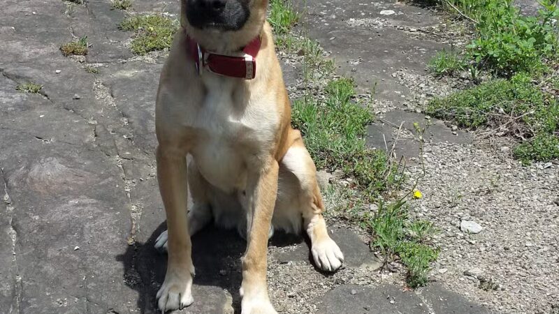 Thacher Park Rock Formation - East Berne, NY