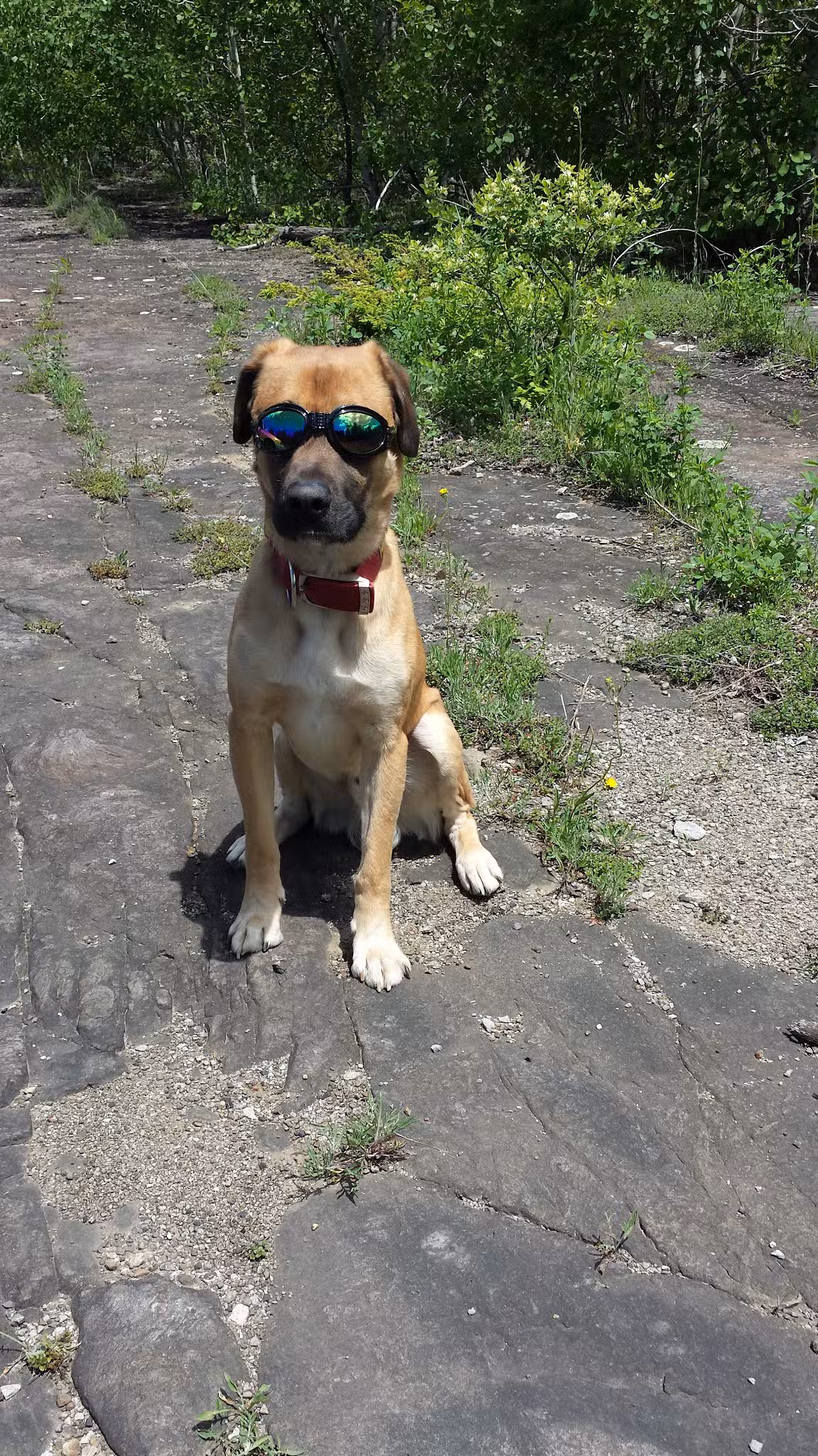 Thacher Park Rock Formation - East Berne, NY
