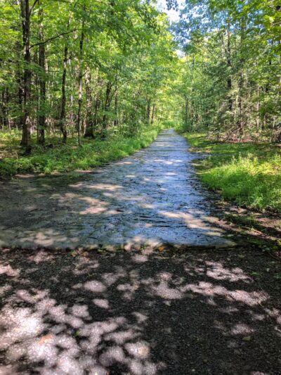 Thacher Park Rock Formation - East Berne, NY