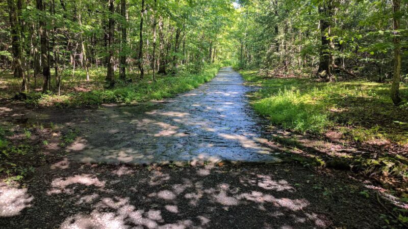 Thacher Park Rock Formation - East Berne, NY