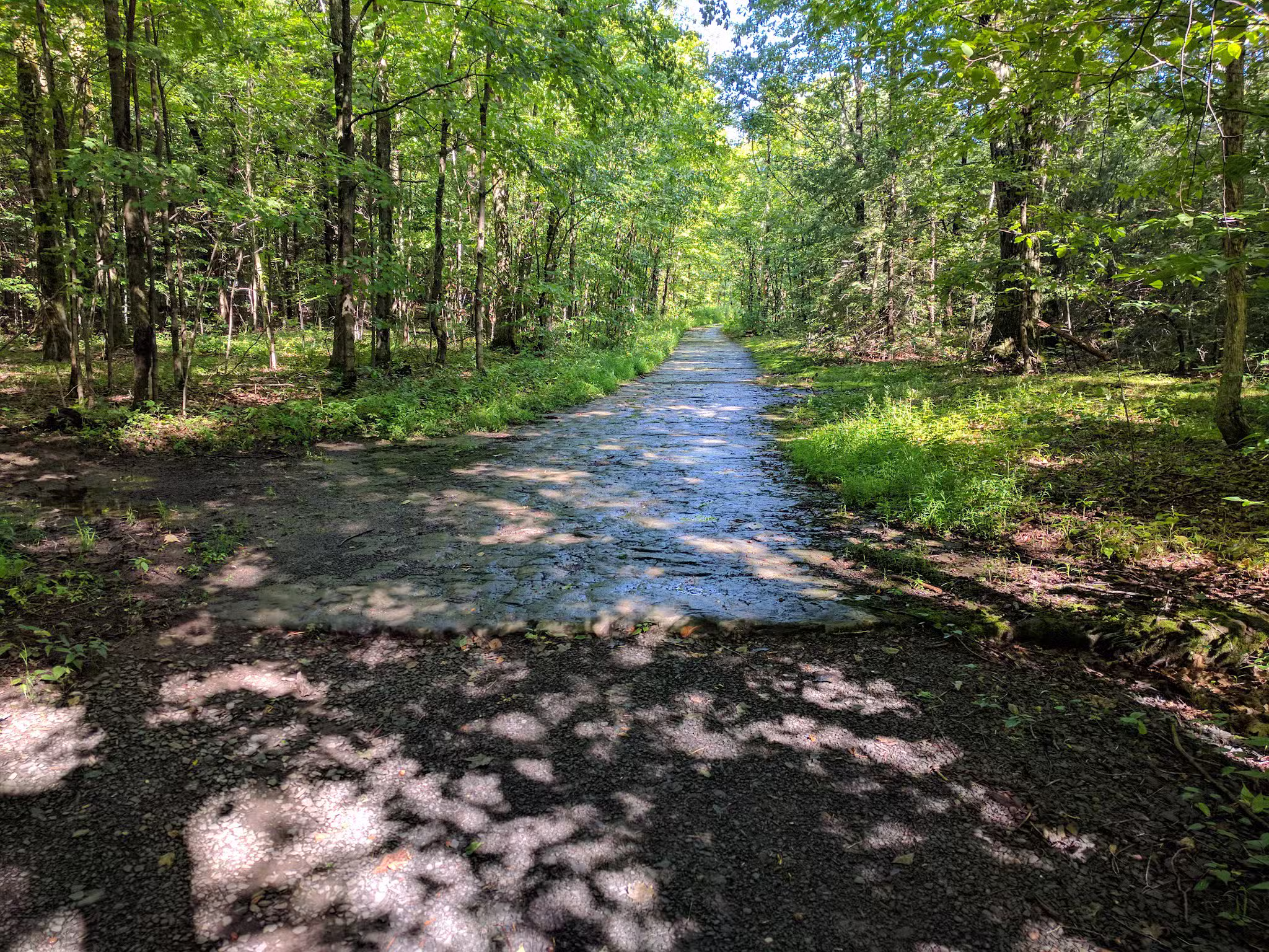 Thacher Park Rock Formation - East Berne, NY