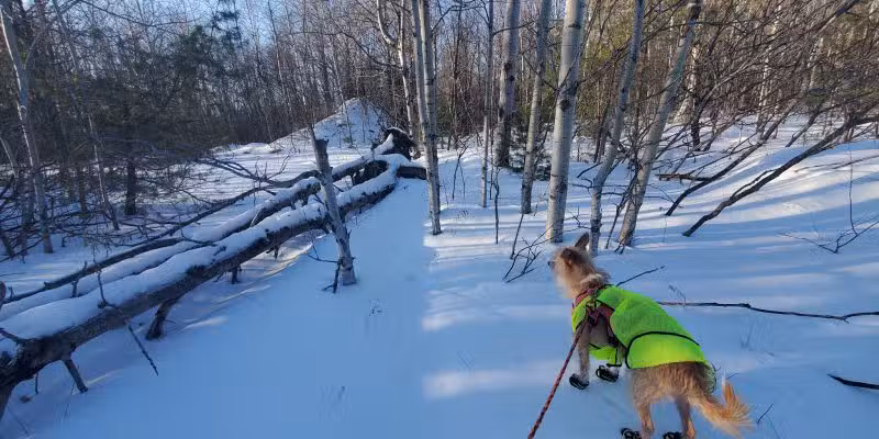 Thacher Park Rock Formation - East Berne, NY