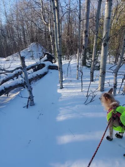 Thacher Park Rock Formation - East Berne, NY