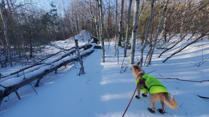 Thacher Park Rock Formation - East Berne, NY