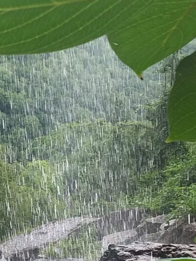 Thacher Park Rock Formation - East Berne, NY