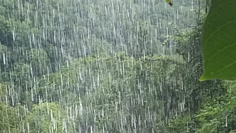 Thacher Park Rock Formation - East Berne, NY