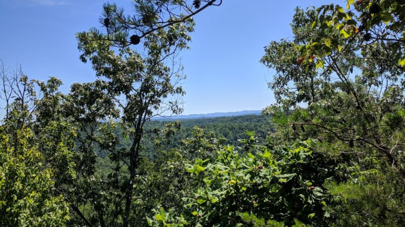 Sheltowee Trace National Recreation Trail - East Bernstadt, KY
