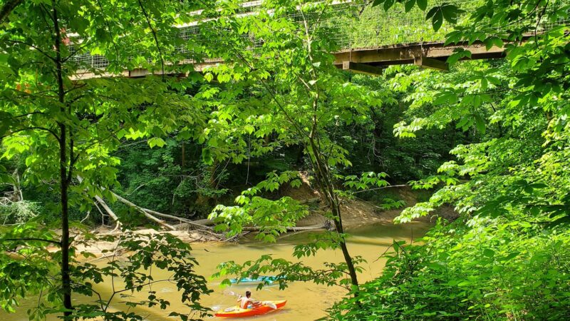 Sheltowee Trace National Recreation Trail - East Bernstadt, KY