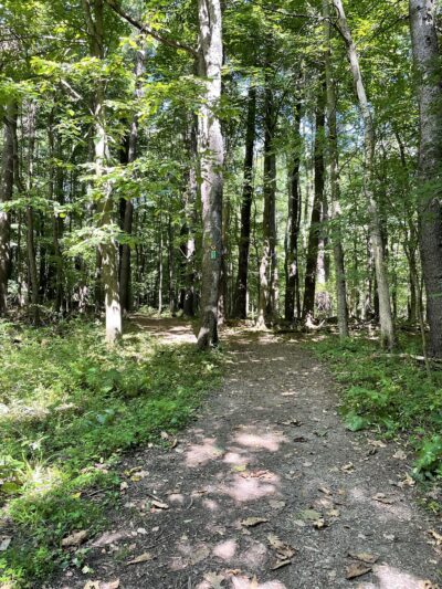 Genesee County Park & Forest - East Bethany, NY