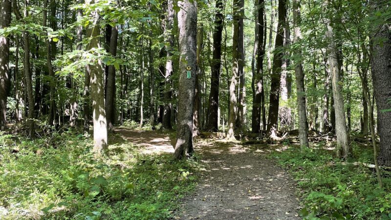 Genesee County Park & Forest - East Bethany, NY