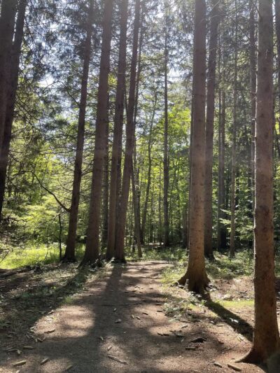 Genesee County Park & Forest - East Bethany, NY