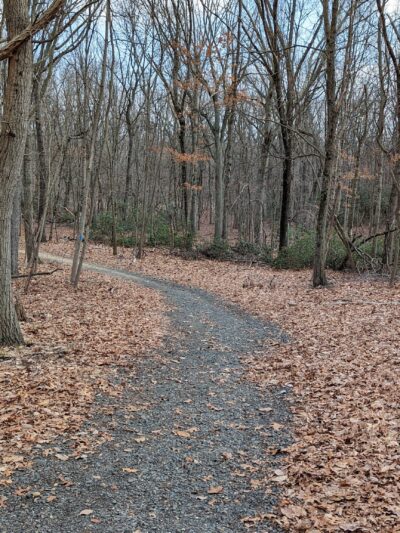Frost Woods - East Brunswick, NJ
