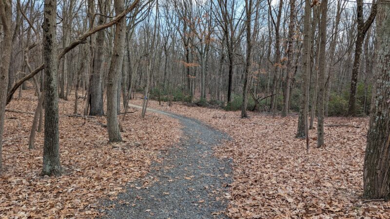 Frost Woods - East Brunswick, NJ