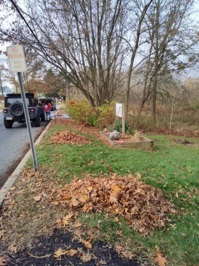 East Greenville Borough Nature Meadow - East Greenville, PA
