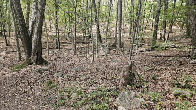 Frenchtown Park and Frye Nature Preserve - East Greenwich, RI