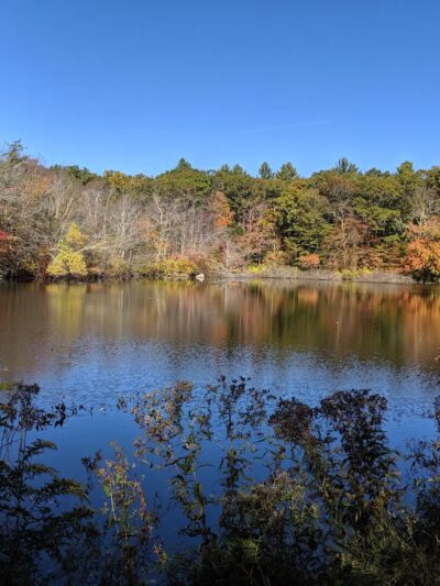 Frenchtown Park and Frye Nature Preserve - East Greenwich, RI