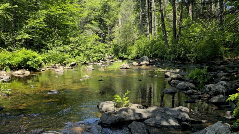 Devil's Hopyard State Park - East Haddam, CT