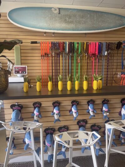 DOG BEACH HAMPTONS - East Hampton, NY