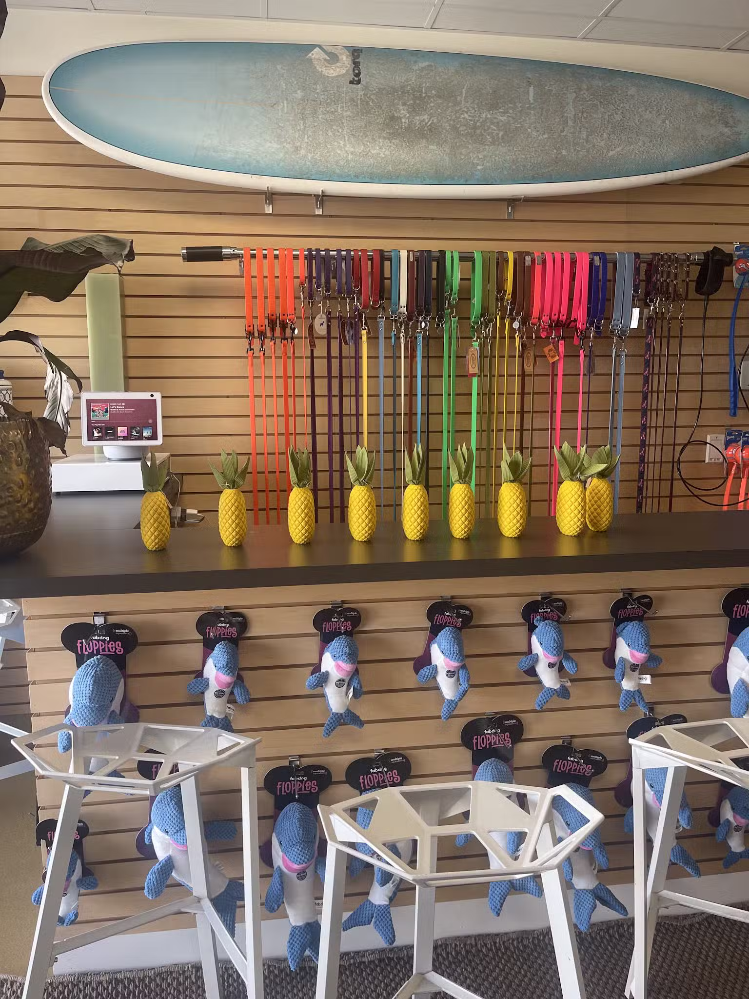 DOG BEACH HAMPTONS - East Hampton, NY