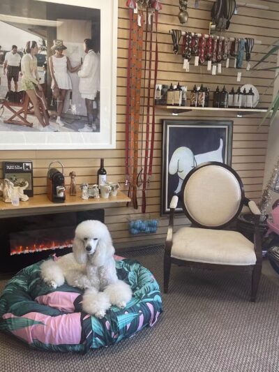 DOG BEACH HAMPTONS - East Hampton, NY