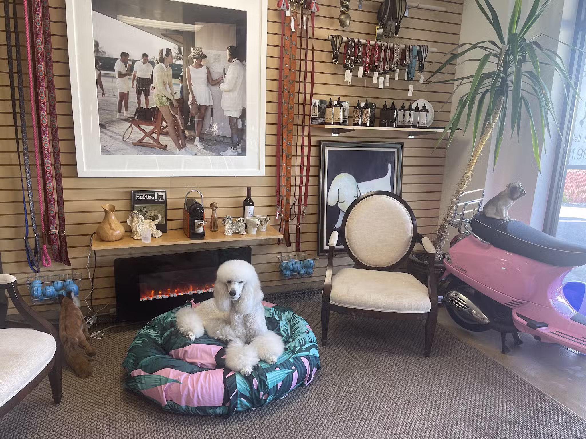 DOG BEACH HAMPTONS - East Hampton, NY