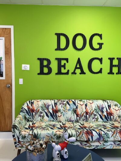 DOG BEACH HAMPTONS - East Hampton, NY