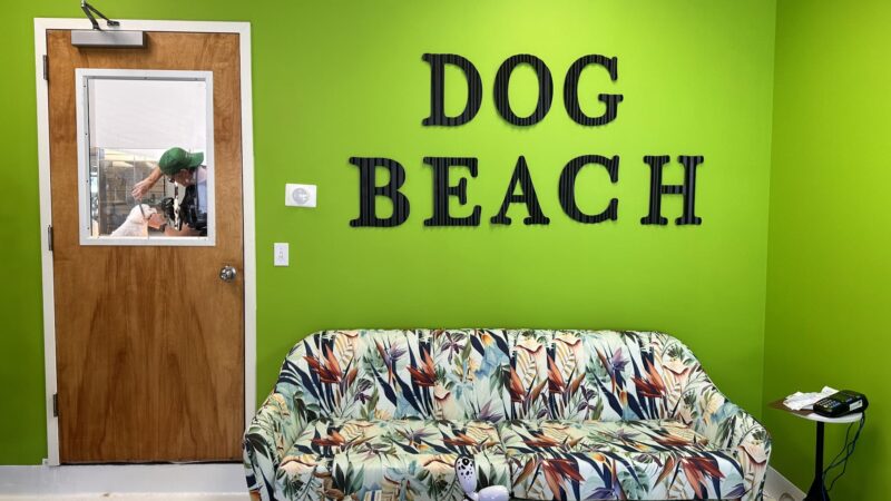 DOG BEACH HAMPTONS - East Hampton, NY