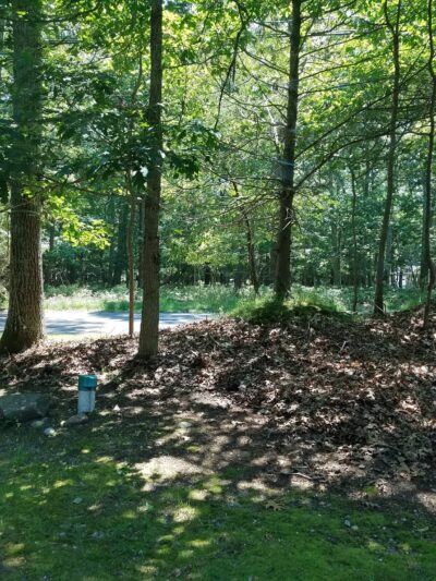 Springs Park Dog Park - East Hampton, NY