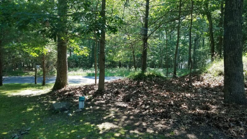 Springs Park Dog Park - East Hampton, NY