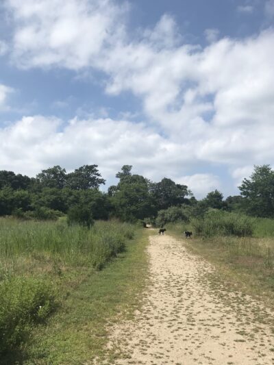 Springs Park Dog Park - East Hampton, NY