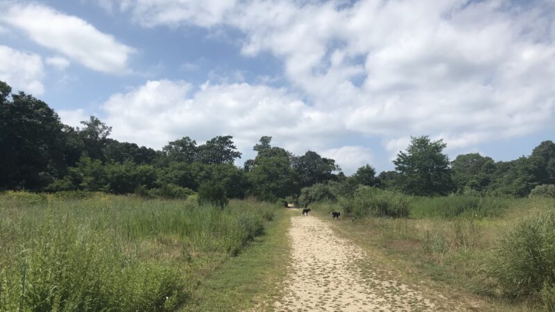 Springs Park Dog Park - East Hampton, NY