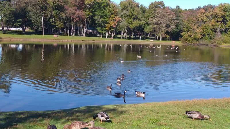 Heritage Park - East Longmeadow, MA