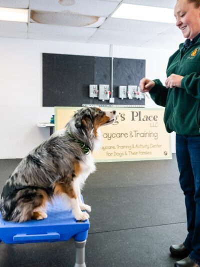 My Dog's Place LLC - East Lyme, CT