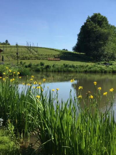 Glampotel at Natural Gardens - East Meredith, NY