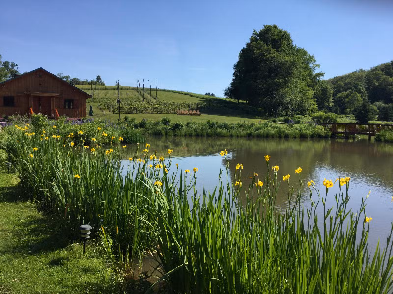 Glampotel at Natural Gardens - East Meredith, NY