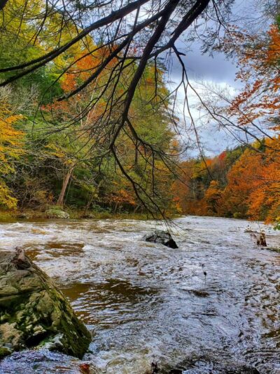 Kinderhook Creek Nature Preserve - East Nassau, NY