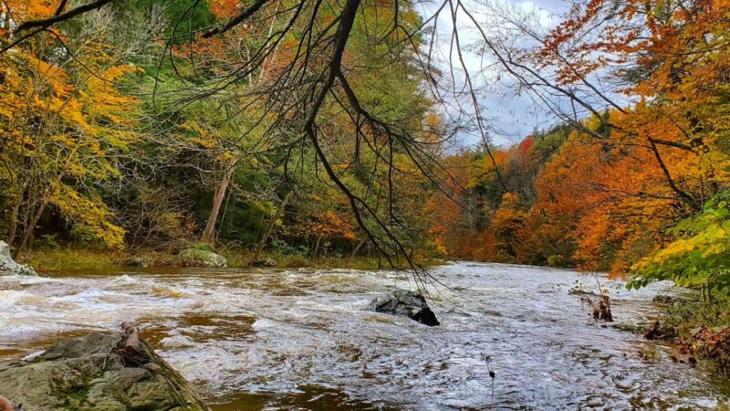 Kinderhook Creek Nature Preserve - East Nassau, NY