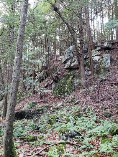 Kinderhook Creek Nature Preserve - East Nassau, NY