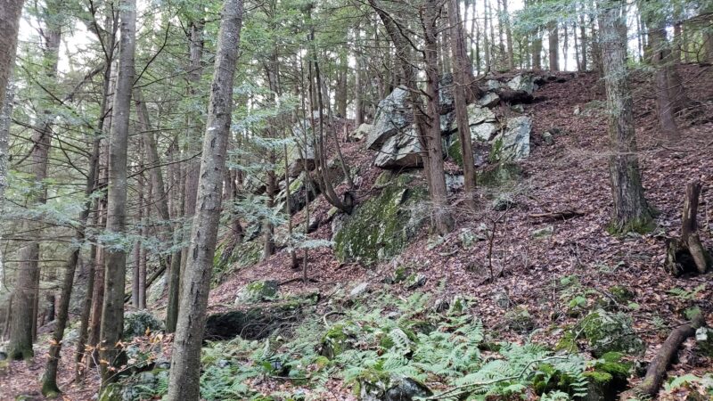 Kinderhook Creek Nature Preserve - East Nassau, NY