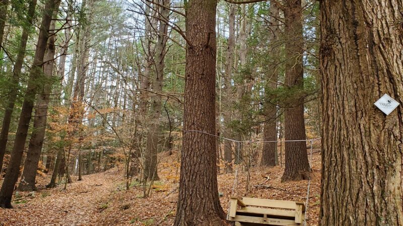 Kinderhook Creek Nature Preserve - East Nassau, NY