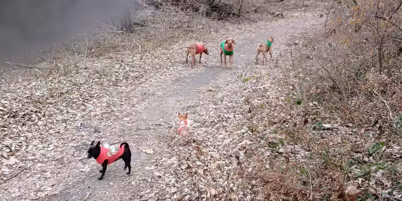 West Fairview Park - East Pennsboro Township, PA