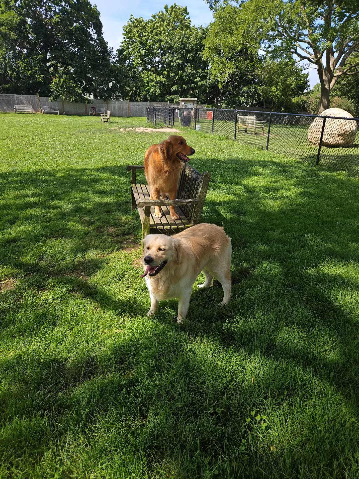 Dog Park - East Quogue, NY