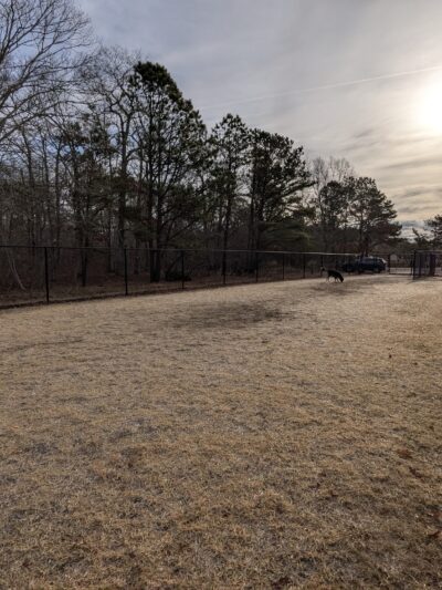 Dog Park - East Quogue, NY