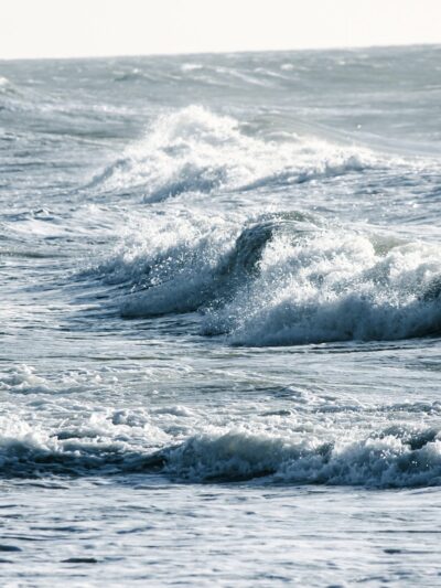 Dolphin Beach - East Quogue, NY
