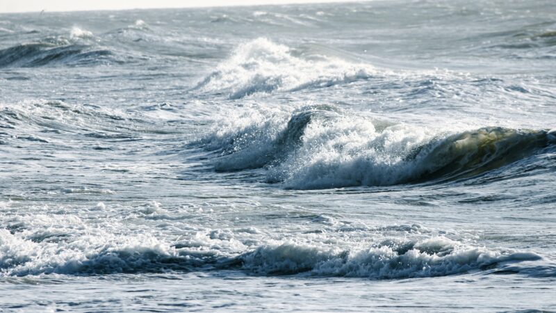 Dolphin Beach - East Quogue, NY