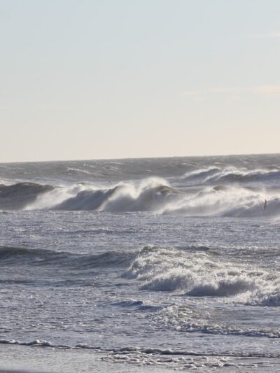 Dolphin Beach - East Quogue, NY