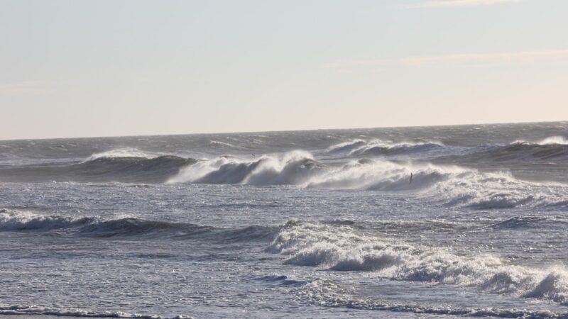 Dolphin Beach - East Quogue, NY