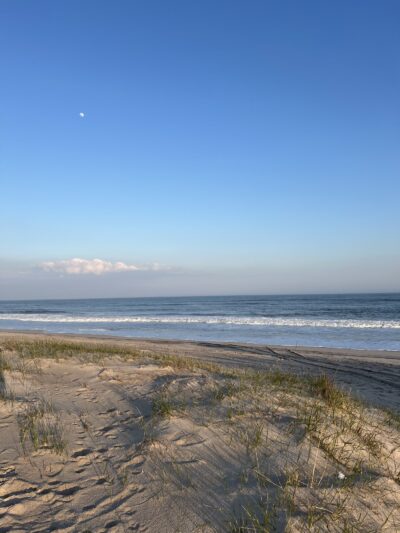 Dolphin Beach - East Quogue, NY